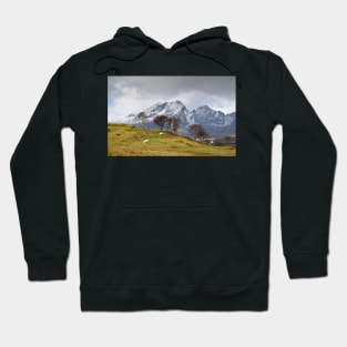 High Pasture Hoodie